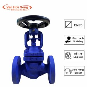 Van cầu hơi thép Ravis DN25