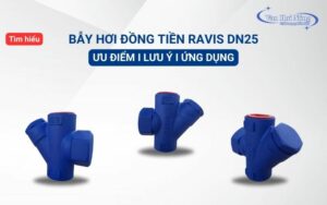 Tìm hiểu bẫy hơi đồng tiền Ravis DN25 và lưu ý khi lắp đặt