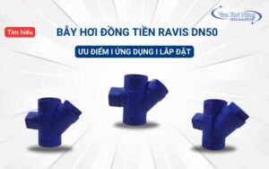Tìm hiểu chung về bẫy hơi đồng tiền Ravis DN50 cho hơi nóng