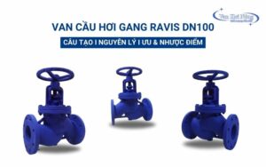 Van cầu hơi gang Ravis DN100: Cấu tạo, Nguyên lý & Ưu nhược điểm