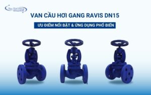 Van cầu hơi gang Ravis DN15: Ưu điểm và ứng dụng thực tế