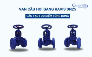 Tìm hiểu chi tiết về van cầu hơi gang Ravis DN25!