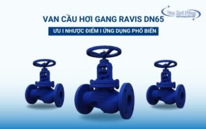 Van cầu hơi gang Ravis DN65: Ưu, nhược điểm & ứng dụng