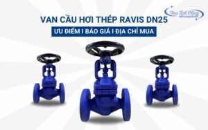 Van cầu hơi thép Ravis DN25: Ưu điểm, báo giá và địa chỉ mua