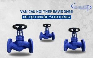 Vì sao nên chọn van cầu hơi thép Ravis DN65?