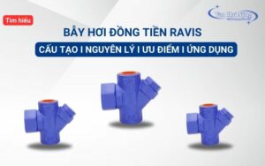 Những điều cần biết về bẫy hơi đồng tiền Ravis - Đài Loan