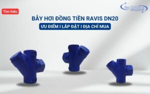 Tìm hiểu chi tiết về bẫy hơi đồng tiền Ravis DN20 và cách lắp đặt hiệu quả