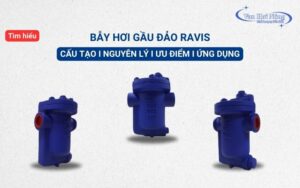 Bẫy hơi gầu đảo Ravis: Cấu tạo, Nguyên lý & Cách chọn hiệu quả