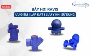 Tìm hiểu chi tiết về bẫy hơi Ravis Đài Loan: Ưu điểm & Cách lắp đặt