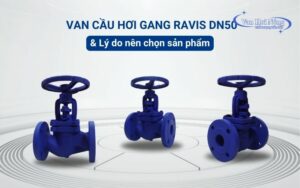Vì sao nên chọn van cầu hơi gang Ravis DN50? 