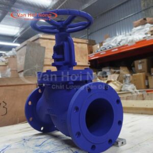 Van cầu gang Ravis Model R-GG