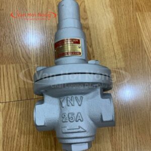Van giảm áp hơi YNV PIR-1S