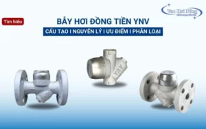 Phân loại bẫy hơi đồng tiền YNV & Địa chỉ mua chính hãng