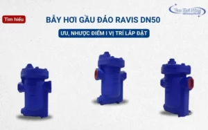 Bẫy hơi gầu đảo Ravis DN50: Ưu, nhược điểm & vị trí lắp đặt