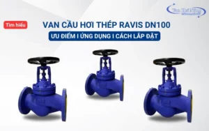 Tìm hiểu cách lắp đặt và bảo trì van cầu ơi thép ravis dn100