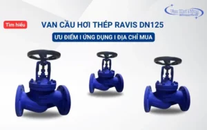 Van cầu hơi thép Ravis DN125: Ưu điểm, ứng dụng & địa chỉ mua