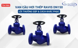 Tìm hiểu Van cầu hơi thép Ravis DN150: Lỗi thường gặp và cách khắc phục