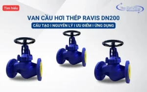 Những điều cần biết về van cầu hơi thép Ravis DN200