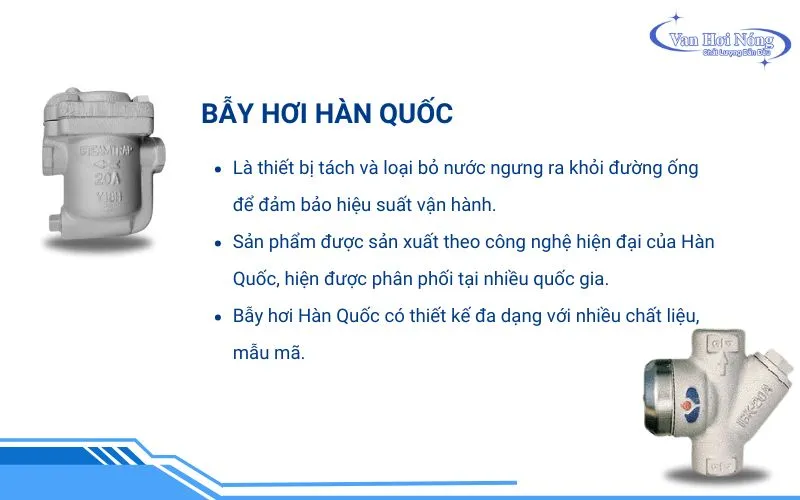 Thông tin chung về các loại bẫy hơi Hàn Quốc