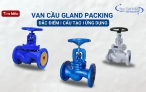 Van cầu gland packing là gì? Chi tiết đặc điểm và cách chọn mua