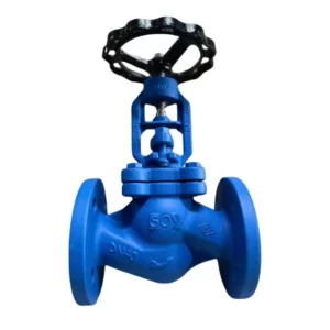 Van cầu gang Gland Seal Soy PN16