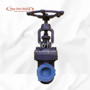 Van cầu thép rèn A105 FBV 800LB