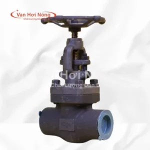 Van cầu thép rèn A105 FBV 800LB