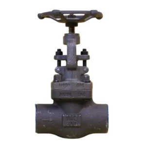 Van cầu thép rèn A105 FBV 800LB