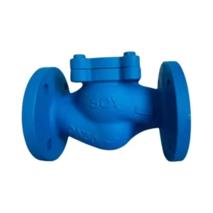 Van một chiều gang chữ ngã Soy