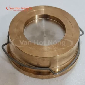 Van một chiều đồng dạng đĩa Soy