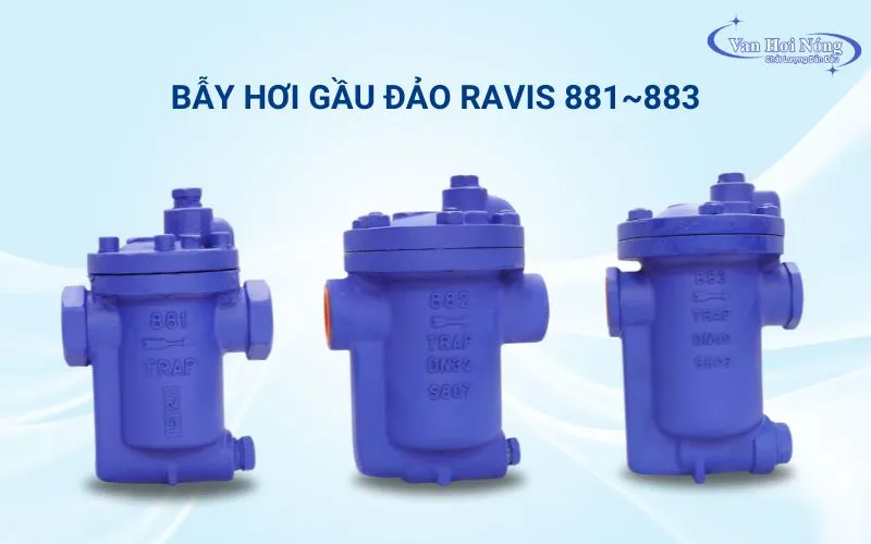 Hình ảnh bẫy hơi gầu đảo Ravis - Đài Loan