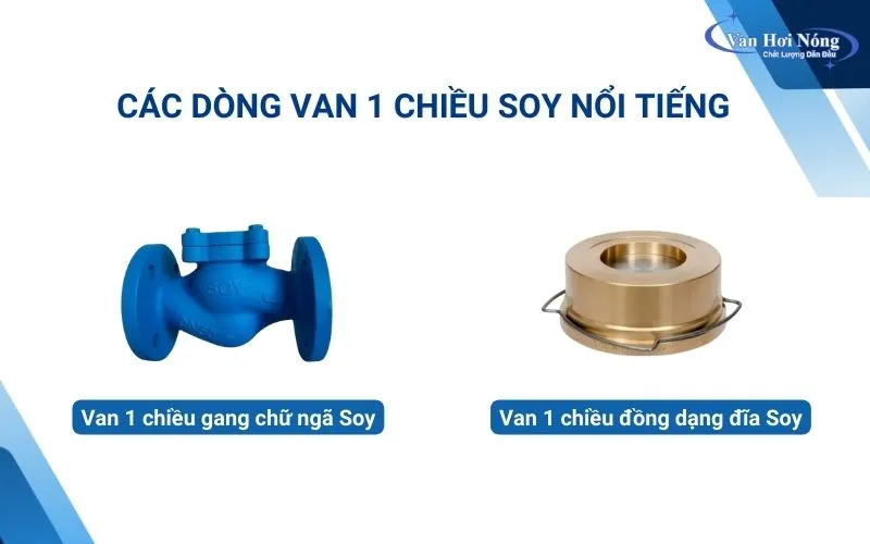 Hai model van hơi một chiều Soy sẵn có tại Vanhoinongvn