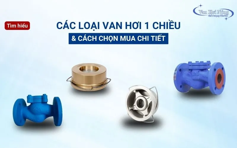 Các loại van hơi 1 chiều nổi tiếng và cách chọn mua