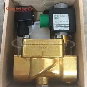 Van điện từ hơi nóng ODE Model 21YC6K0T250