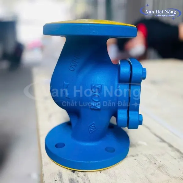 Van 1 chiều hơi nóng