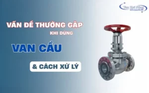 Các vấn đề thường gặp của van cầu và cách xử lý hiệu quả!