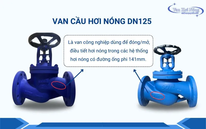 Van cầu hơi nóng DN125 (phi 141mm)