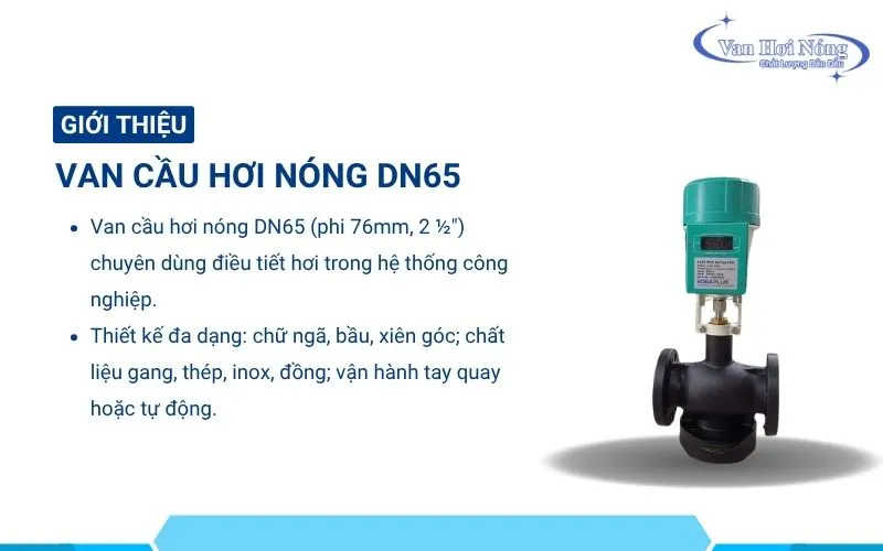 Van cầu hơi nóng DN65 dùng cho các hệ thống hơi phi 76