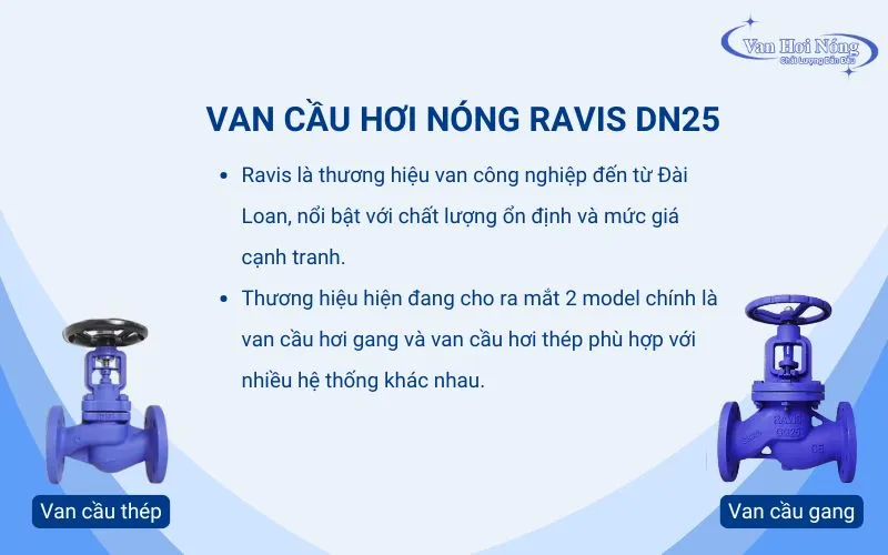 Van cầu Ravis DN25 chất lượng, giá rẻ, tối ưu chi phí