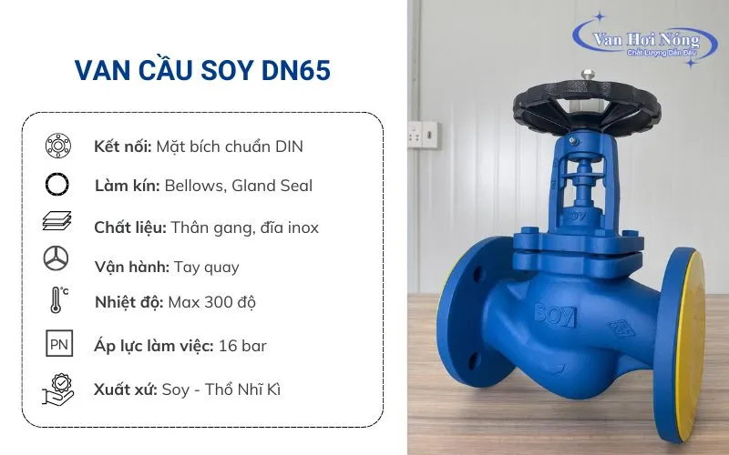 Van cầu hơi nóng DN65 hiệu Soy - Thổ Nhĩ Kỳ