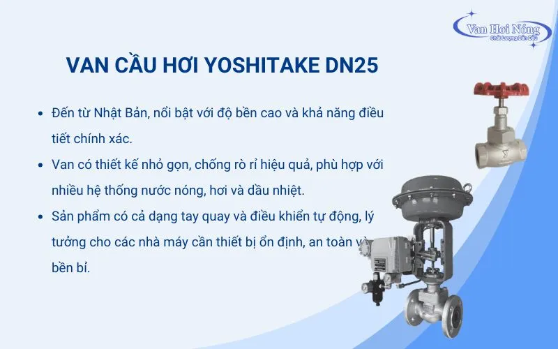 Van cầu Yoshitake DN25 xuất xứ Nhật Bản, có chất lượng cao