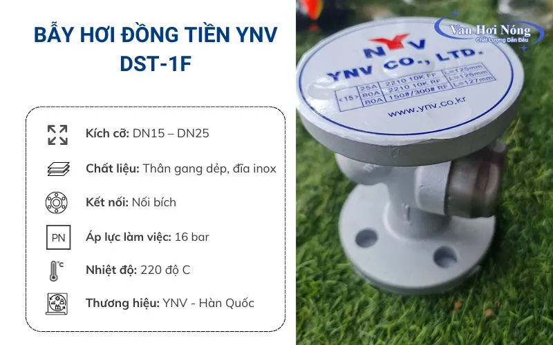 Bẫy hơi mặt bích YNV DST-1F đến từ Hàn Quốc