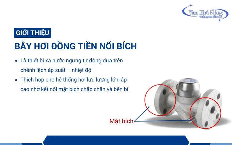 Bẫy hơi đồng tiền mặt bích dùng trong các hệ thống lớn
