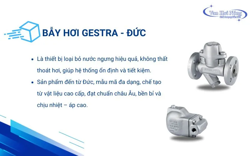Thông tin cơ bản về bẫy hơi Gestra