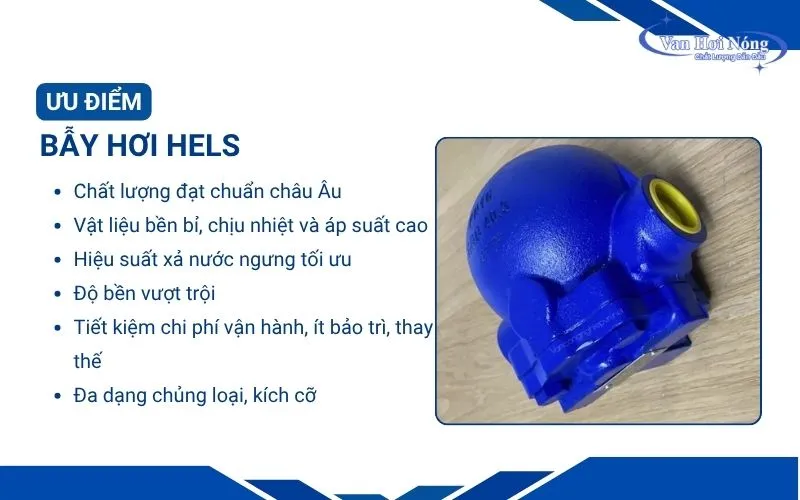 Những ưu điểm vượt trội của bẫy hơi thương hiệu Hels