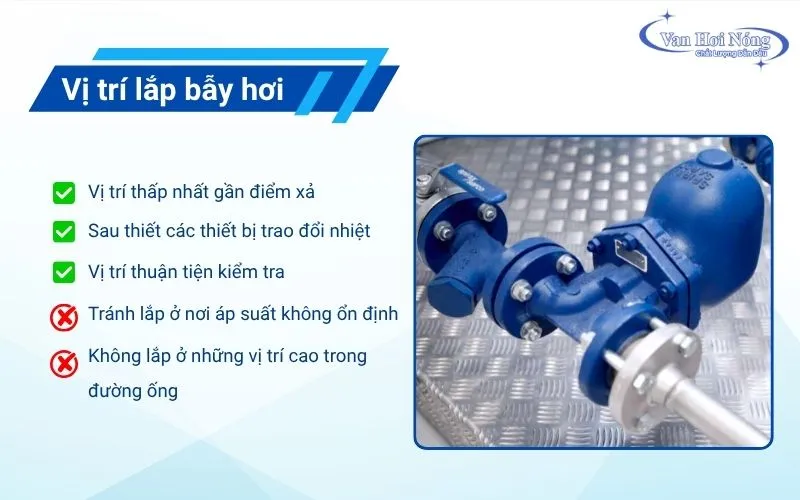 Các vị trí nên và không nên lắp đặt bẫy hơi