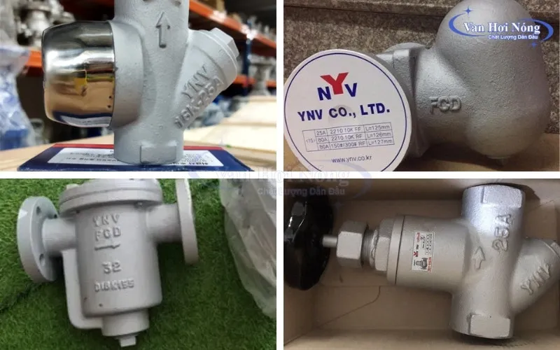 Các loại bẫy hơi YNV