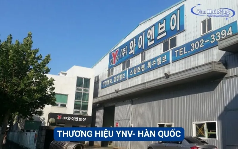 Thương hiệu YNV nổi tiếng Hàn Quốc