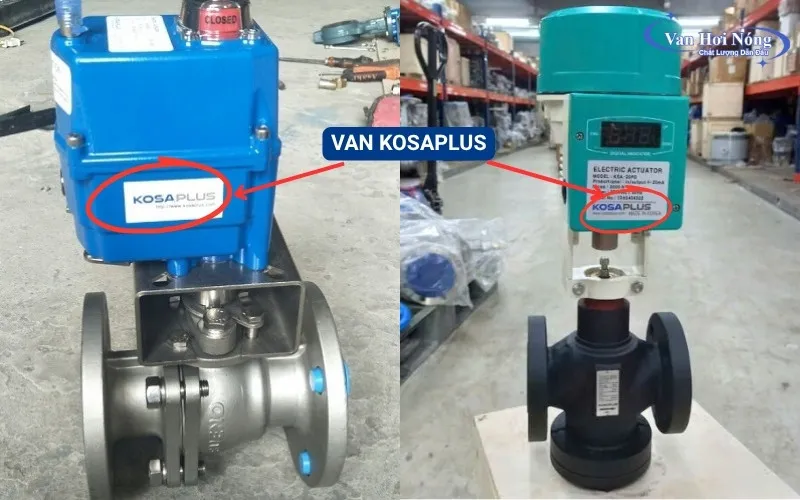 Van Kosaplus nổi tiếng Châu Á