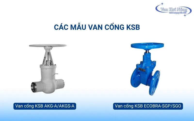 Các mẫu van cổng KSB nổi tiếng